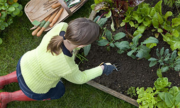 raised-garden-bed-small-outdoor-space-design