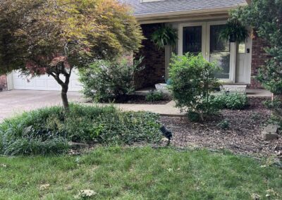 Lawn Care and Maintenance