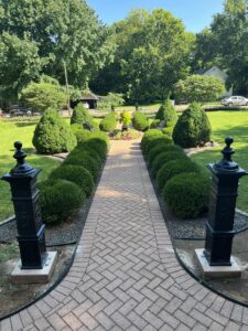 Expert Landscaping, Lawn Care & Construction